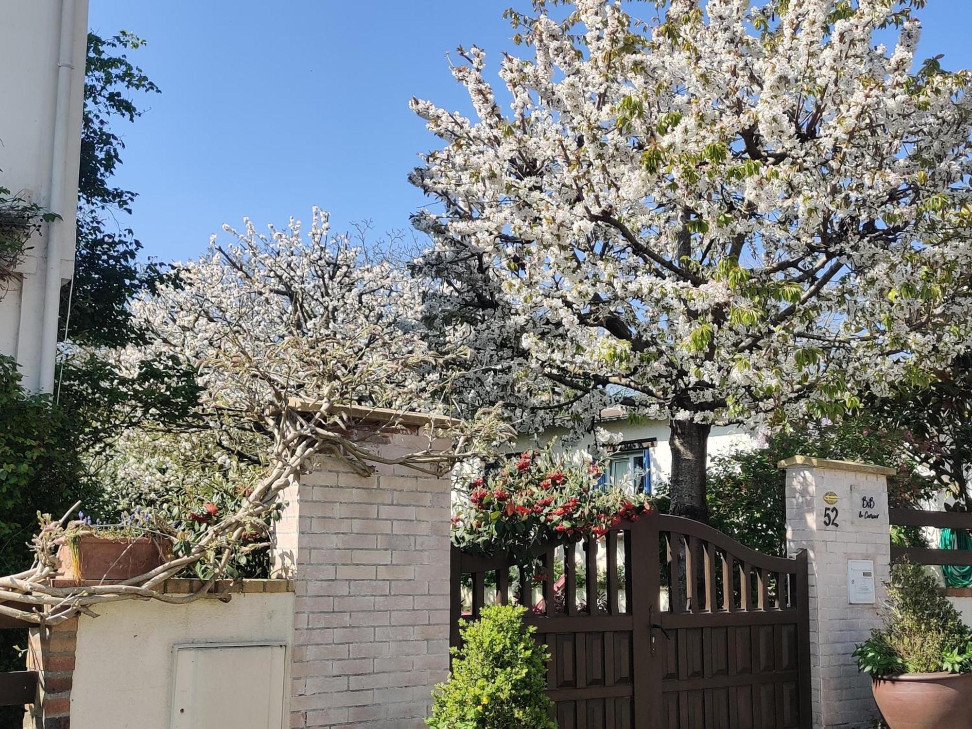 Le Cerisier Bed and Breakfast Mareil-Marly Buitenkant foto